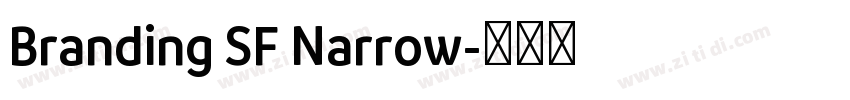 Branding SF Narrow字体转换
